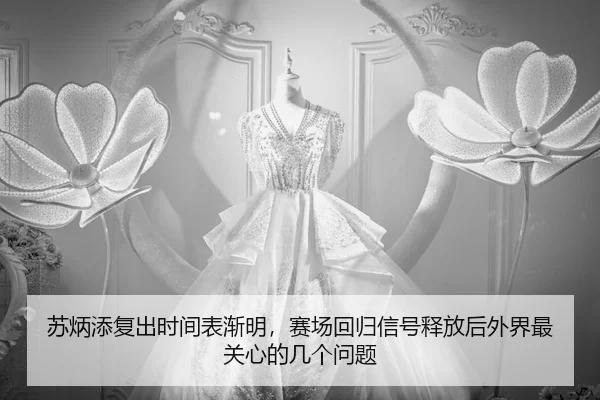 su-bing-tian-fu-chu-shi-jian-biao-jian-ming-sai-chang-hui-gui-xin-hao-shi-fang-hou-wai-jie-zui-guan-xin-de-ji-ge-wen-ti-2-816.jpg